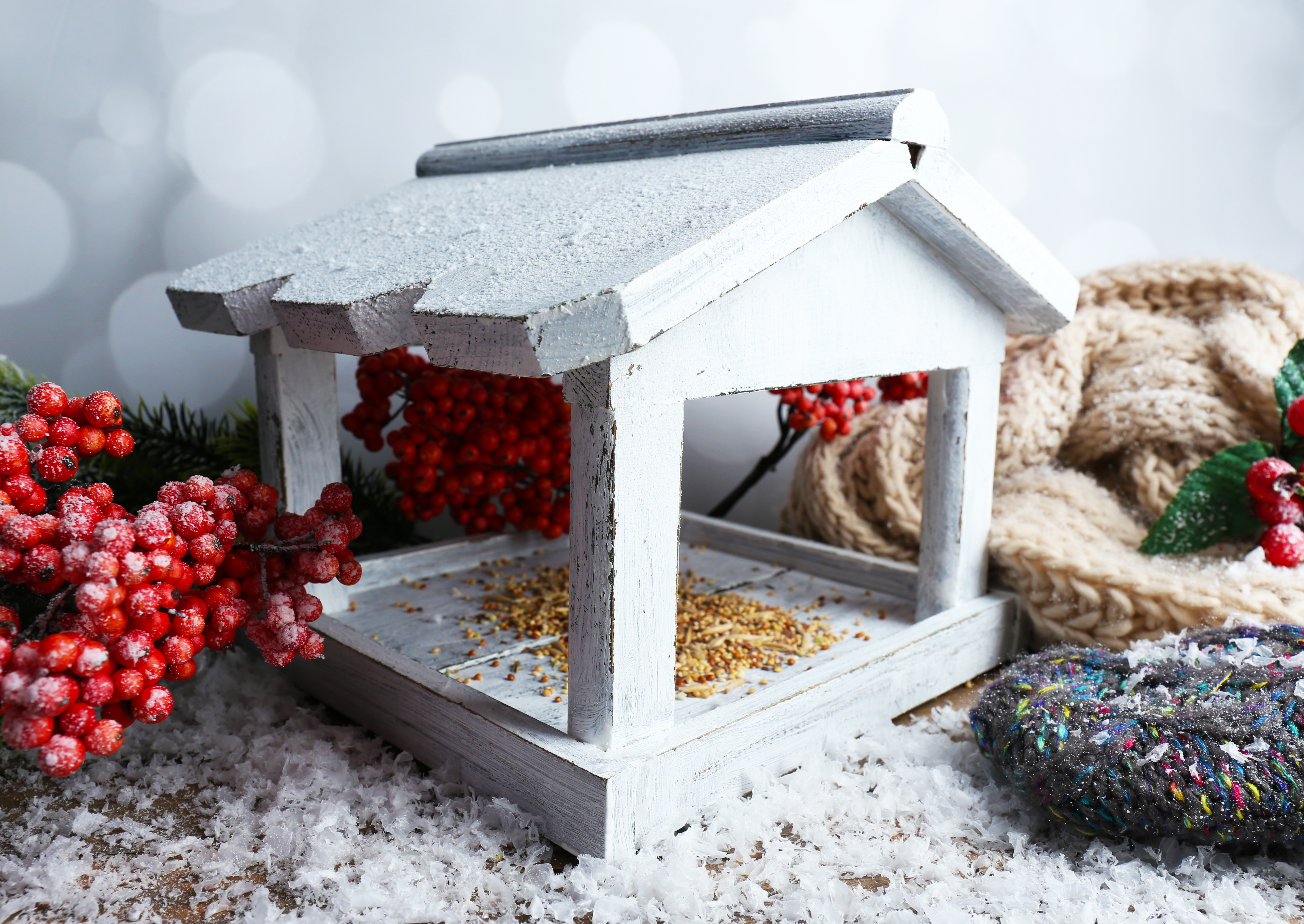 Лучшая кормушка для птиц